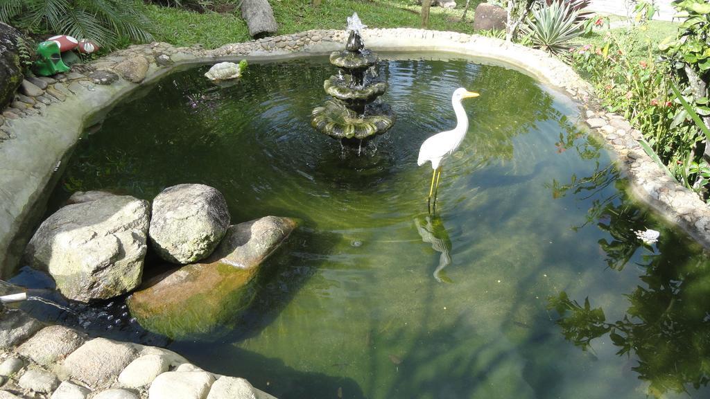 Pousada Chacara Do Rio Lumiar Eksteriør bilde